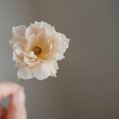 رُفَيْده 🌼