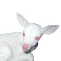 Oo0°OoO0°oO