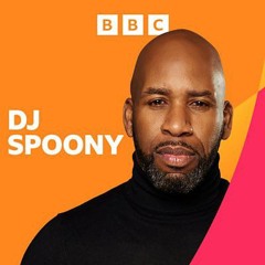 DJ Spoony