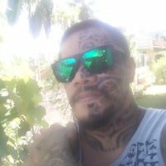Kahu Timau