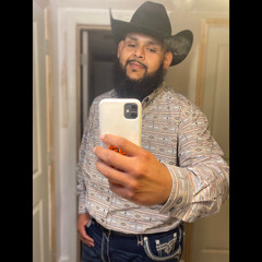 pancho_lsx713