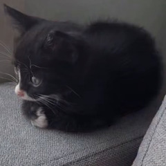 kero