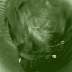 ren x