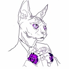 Merlin Morgana Project