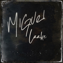 Miguel Laake