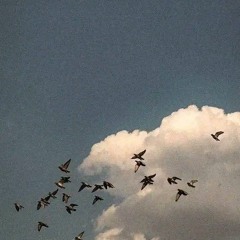 أسمَــاء كَــارِم