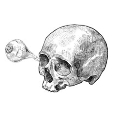 ArKøl