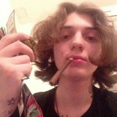 vertwexx