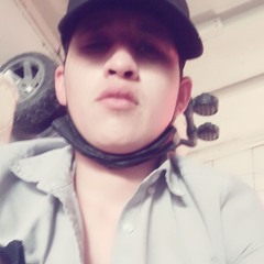 choloTj..l.