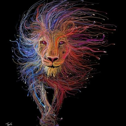 Heart of a Lion’s avatar