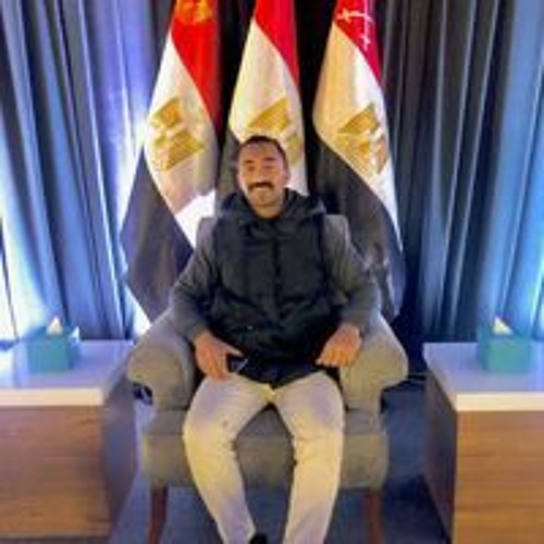 Mostafa Marwaha’s avatar