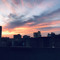 رفيق الحياة