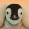 ilikepenguins75