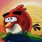 Angry Bird 😡