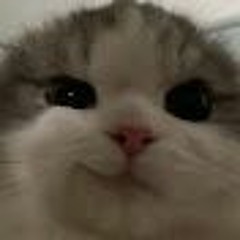 gui