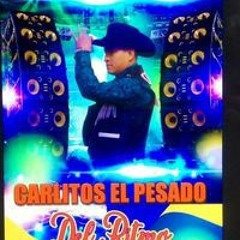 Carlitos Pesado del Ritmo