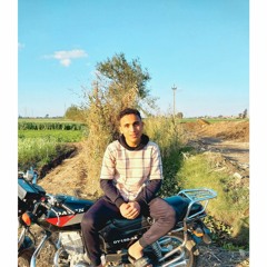 FARÈS