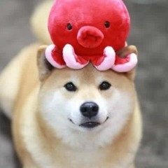 𝚂̜̺ͣͮ̃ͭͨ𝚑͇̠͙̓̉̔͐𝚒͖̱͎͎̦̑̽̌𝚋͙̤̈̈̿ͪ̃ͨ𝚊͓̱̠̽