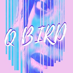 Qbird