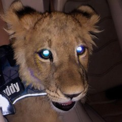 خلها على ربك💔