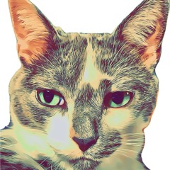 TacoHead Productions