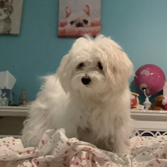 brady (peyton moved on)