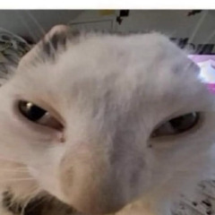 ZaZeB