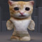 an_ony1