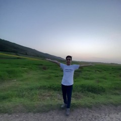 Sasan Mazidi