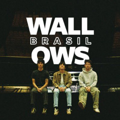 Wallows Brasil