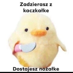 hakudezy