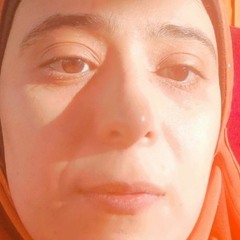 Miada Abdelhamed