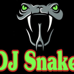 DJ SNaKe ديجي سنيك