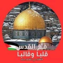 Amr Abdaltef