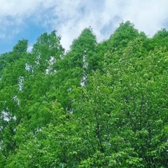 찬송 냥냥냥