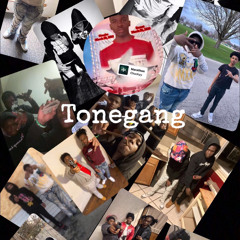 tonegang moni