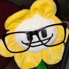 Kotelek_💛