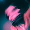 + sorra + (@lonelysorra)