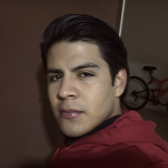 Juan Antonio Delgado Ibarra