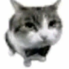 Tabby_Waffle