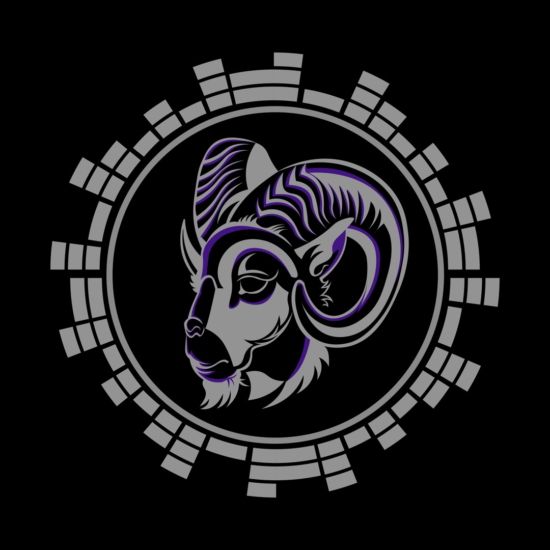 RAMACID’s avatar
