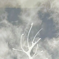 і⁖⁙⁚‥⁏:…⁝ↈ⋰⋱⋮⋱