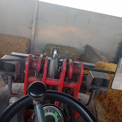 DE WITSEEEE!!!