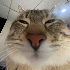 Alfie