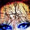 Misch. Jay J. More