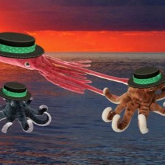Hat Cephalopods