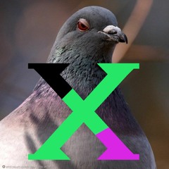 PigeonX