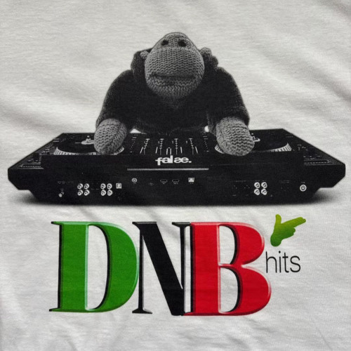 FOWLZ DNB — artist photo