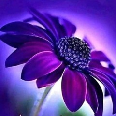 listen🎶🎧 with your heart 💜🎶🎧