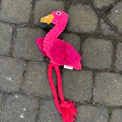 Stübbi